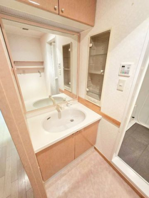 �ޗǌ��ޗǎs�w����5���ڂ̒��Ã}���V�����̐��ʑ�E���ʏ�