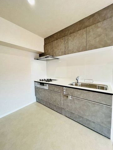 �ޗǌ��ޗǎs��{��2���ڂ̒��Ã}���V�����̃L�b�`��