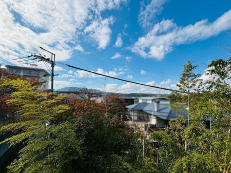 �ޗǌ��ޗǎs�w����5���ڂ̒��Ã}���V�����̂��̑�