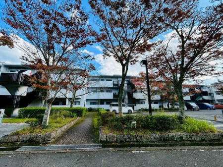 �ޗǌ��ޗǎs�ʎ᎛�� �̒��Ã}���V�����̒��ԏ�