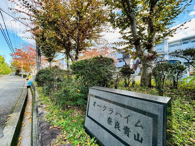 �ޗǌ��ޗǎs�ʎ᎛�� �̒��Ã}���V�����̌��n�O�ώʐ^