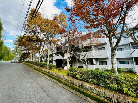 �ޗǌ��ޗǎs�ʎ᎛�� �̒��Ã}���V�����̌��n�O�ώʐ^