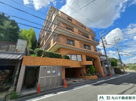 �ޗǌ��ޗǎs�基�� �̒��Ã}���V�����̌��n�O�ώʐ^