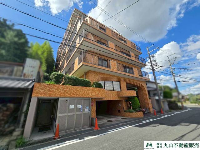 �ޗǌ��ޗǎs�基�� �̒��Ã}���V�����̌��n�O�ώʐ^