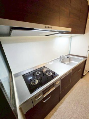 �ޗǌ��ޗǎs�基�� �̒��Ã}���V�����̃L�b�`��