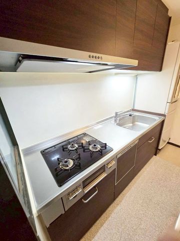 �ޗǌ��ޗǎs�基�� �̒��Ã}���V�����̃L�b�`��