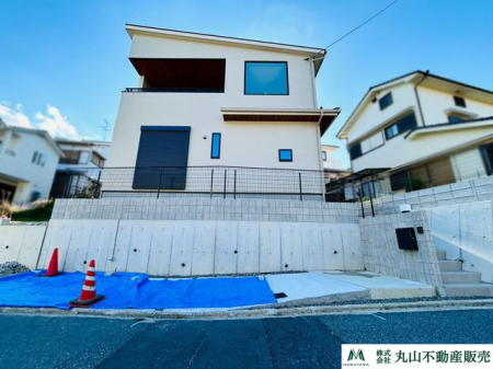 �ޗǌ�����s���P�u �̐V�z��ˌ��Ă̌��n�O�ώʐ^