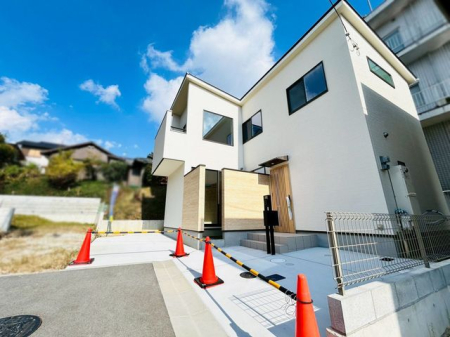 �ޗǌ���a�S�R�s�i�c���� �̐V�z��ˌ��Ẳ摜