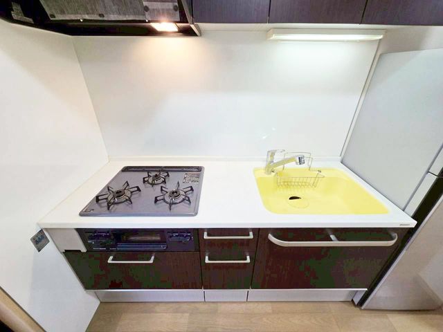 �ޗǌ��ޗǎs�O���{�� �̒��È�ˌ��ẴL�b�`��