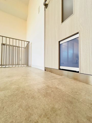 �ޗǌ�����s���V�� �̒��Ã}���V�����̂��̑�