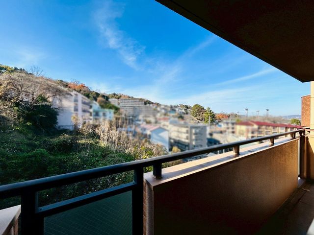 �ޗǌ�����s���V�� �̒��Ã}���V�����̂��̑�