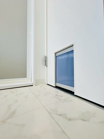 �ޗǌ�����s���V�� �̒��Ã}���V�����̂��̑�����