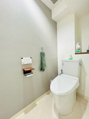 �ޗǌ�����s���V�� �̒��Ã}���V�����̃g�C��