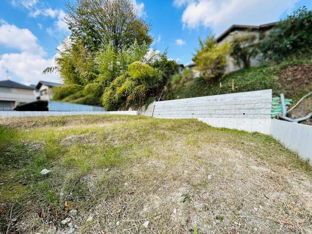 �ޗǌ���a�S�R�s�i�c���� �̓y�n�̌��n�y�n�ʐ^