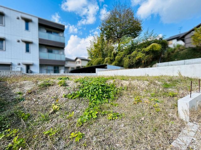 �ޗǌ���a�S�R�s�i�c���� �̓y�n�̌��n�y�n�ʐ^