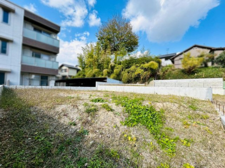 �ޗǌ���a�S�R�s�i�c���� �̓y�n�̌��n�y�n�ʐ^