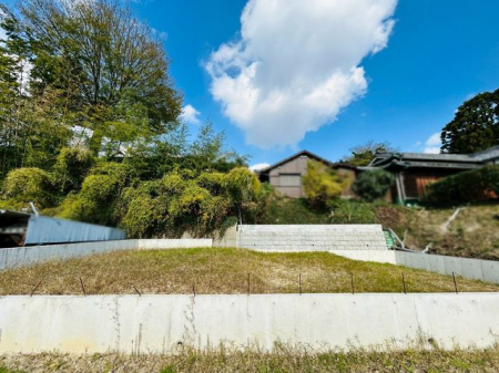 �ޗǌ���a�S�R�s�i�c���� �̓y�n�̌��n�y�n�ʐ^