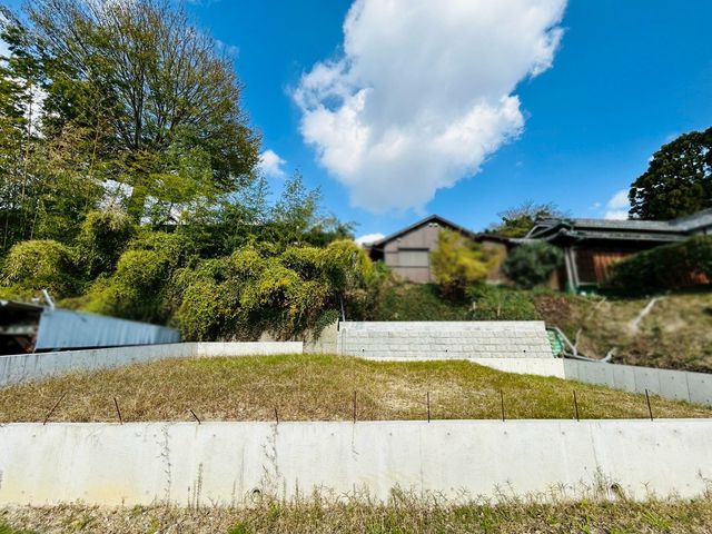 �ޗǌ���a�S�R�s�i�c���� �̓y�n�̌��n�y�n�ʐ^