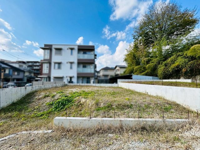 �ޗǌ���a�S�R�s�i�c���� �̓y�n�̌��n�y�n�ʐ^