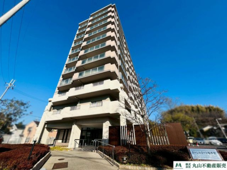 �ޗǌ�����s�厚���� �̒��Ã}���V�����̌��n�O�ώʐ^