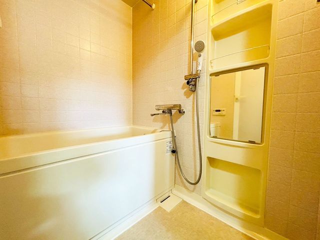 �ޗǌ�����s�厚���� �̒��Ã}���V�����̗���