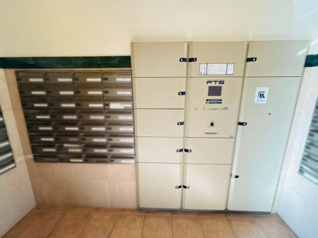 �ޗǌ����Ŏs���3���ڂ̒��Ã}���V�����̂��̑�