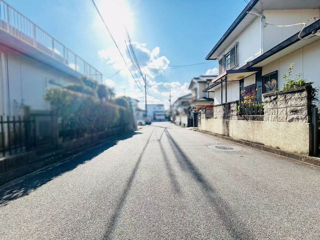 �ޗǌ���a�S�R�s�򌴒� �̓y�n�̌��n�y�n�ʐ^