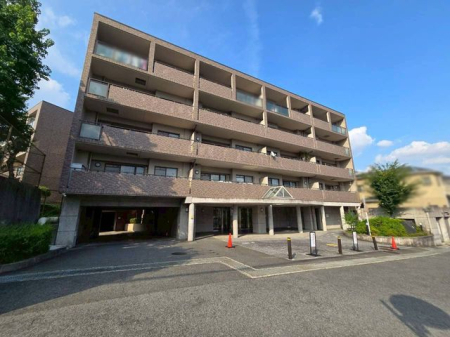 �ޗǌ��ޗǎs�w����5���ڂ̒��Ã}���V�����̌��n�O�ώʐ^