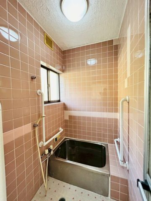 �ޗǌ���a�S�R�s��c�� �̒��È�ˌ��Ă̗���