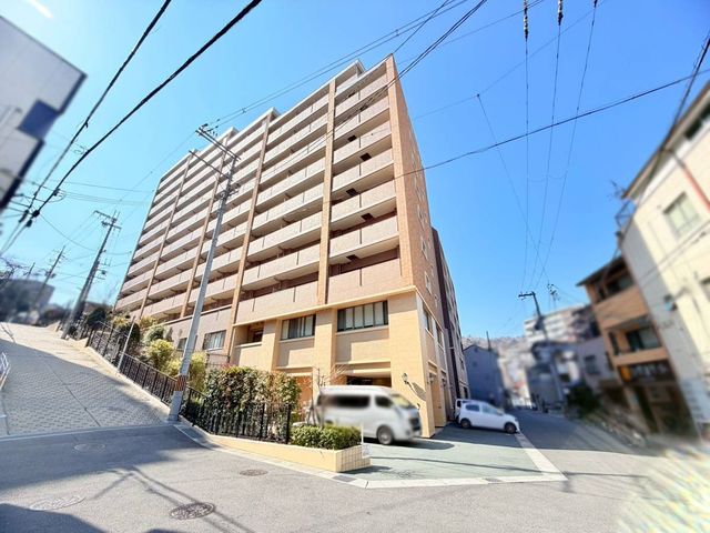 �ޗǌ�����s�R��V�� �̒��Ã}���V�����̌��n�O�ώʐ^