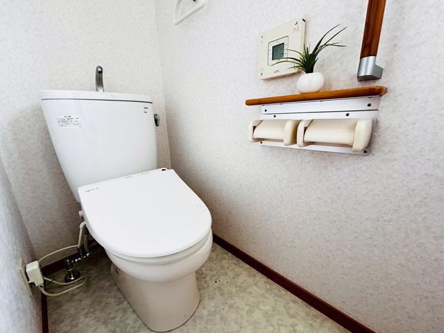 �ޗǌ�����S���g���厚�����g �̒��È�ˌ��Ẵg�C��