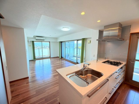 �ޗǌ���a�S�R�s������ �̒��Ã}���V�����̌���