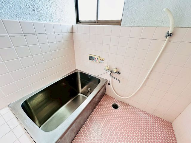 �ޗǌ����S�c���{���厚�{�X �̒��È�ˌ��Ẳ摜