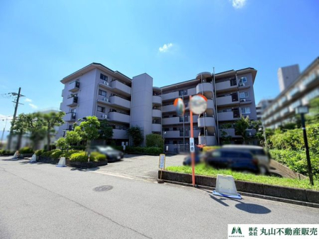 �ޗǌ���a�S�R�s������ �̒��Ã}���V�����̌��n�O�ώʐ^